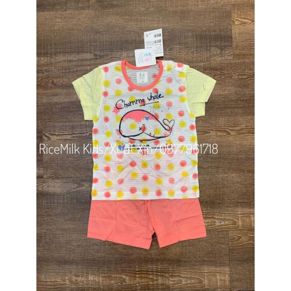 Bộ cộc nhiều mẫu Cotton xuất Hàn Chummy cho bé