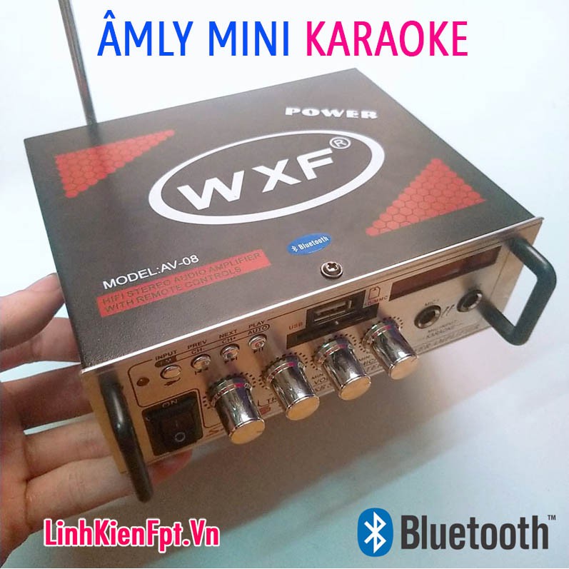 Âm Ly karaoke Bluetooth Amly Xe Hơi 2 MIC AV-08BT