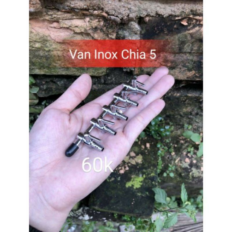 Van nối oxy inox chia khí Milo Guppy