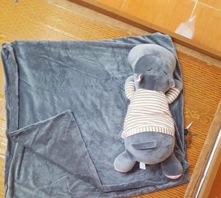 Bộ mền gối hà mã bobby