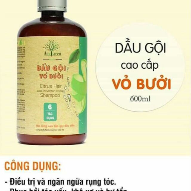 Dầu gội cao cấp vỏ Bưởi 6 in 1