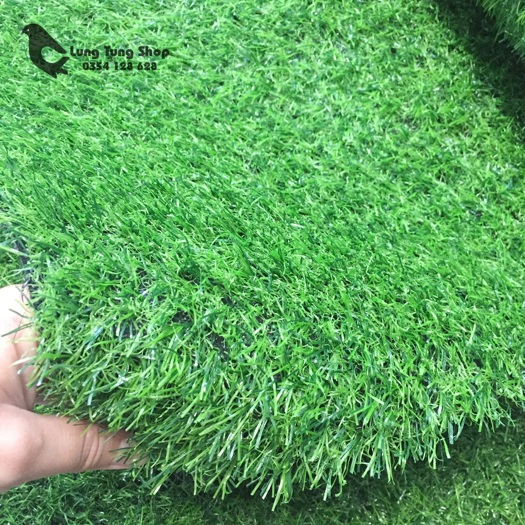 Thảm cỏ nhựa giá rẻ