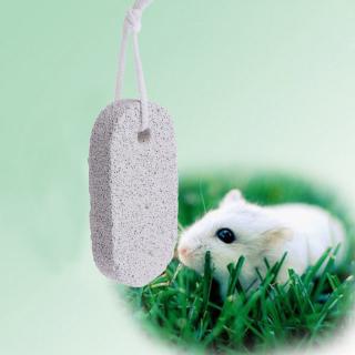 Đồ chơi đá mài răng cho chuột hamster thỏ sóc thú cưng