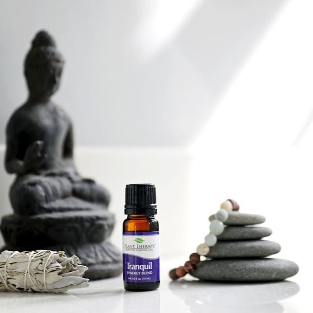 Plant Therapy - tinh dầu giúp thư thái Tranquil Synergy Blend - 100% thiên nhiên nguyên chất pure natural essential oil