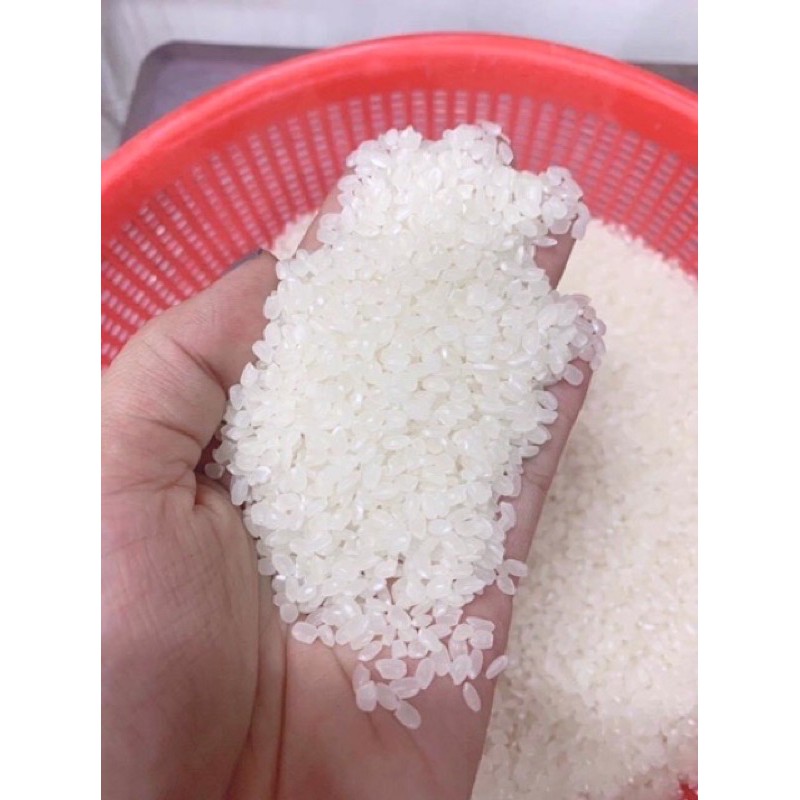 NSX: luôn mới - Gạo sạch - Gạo nhật Japonica của A An - Túi 5kg | BigBuy360 - bigbuy360.vn