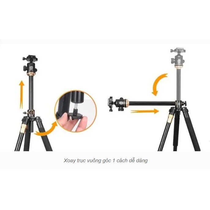 Chân máy ảnh Tripod Q999H bản trục đứng vuông góc chính hãng