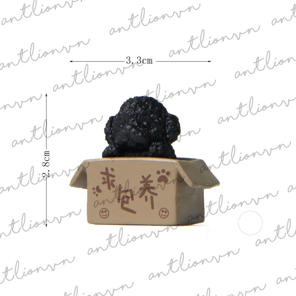 Tượng mô hình chó Poodle trong hộp siêu cute Lionvn
