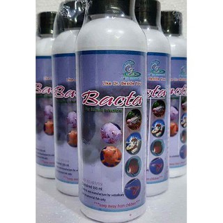 BACTA XỬ LÝ NẤM LỞ LOÉT MỜ MẮT Ở CÁ CẢNH CZ8