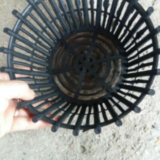 Chậu trồng lan rộng 20cm