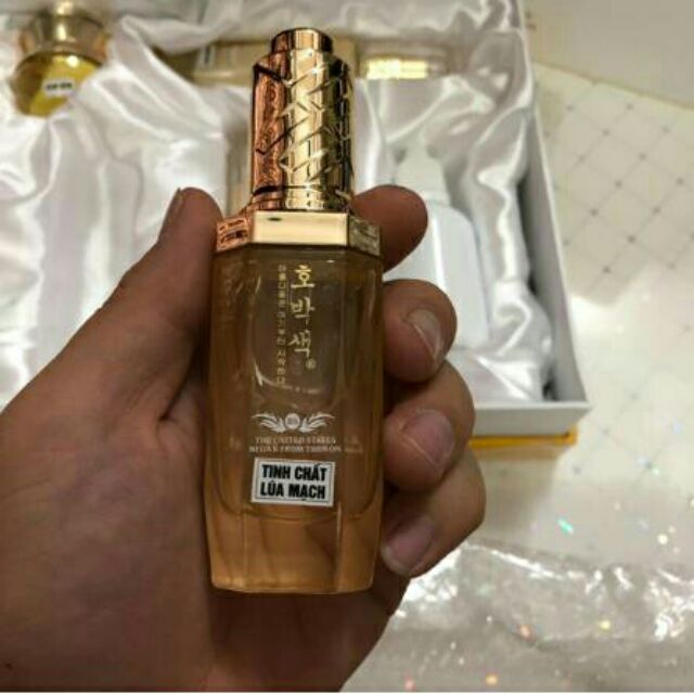 BỘ MẦM TẾ BÀO MEN SỐNG CĂNG BÓNG
