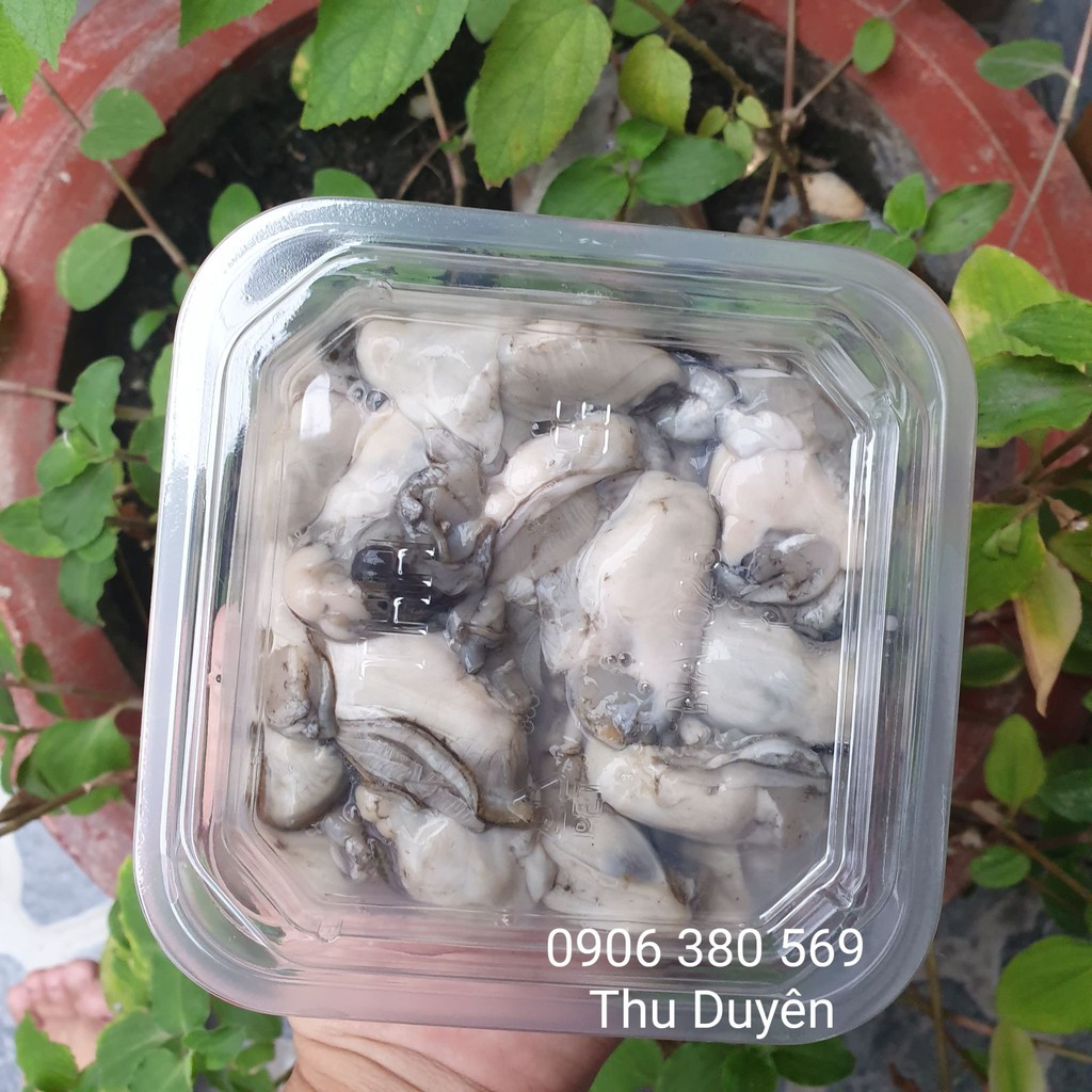 HÀU SỮA TÁCH VỎ / RUỘT HÀO  HỘP 400GRAM
