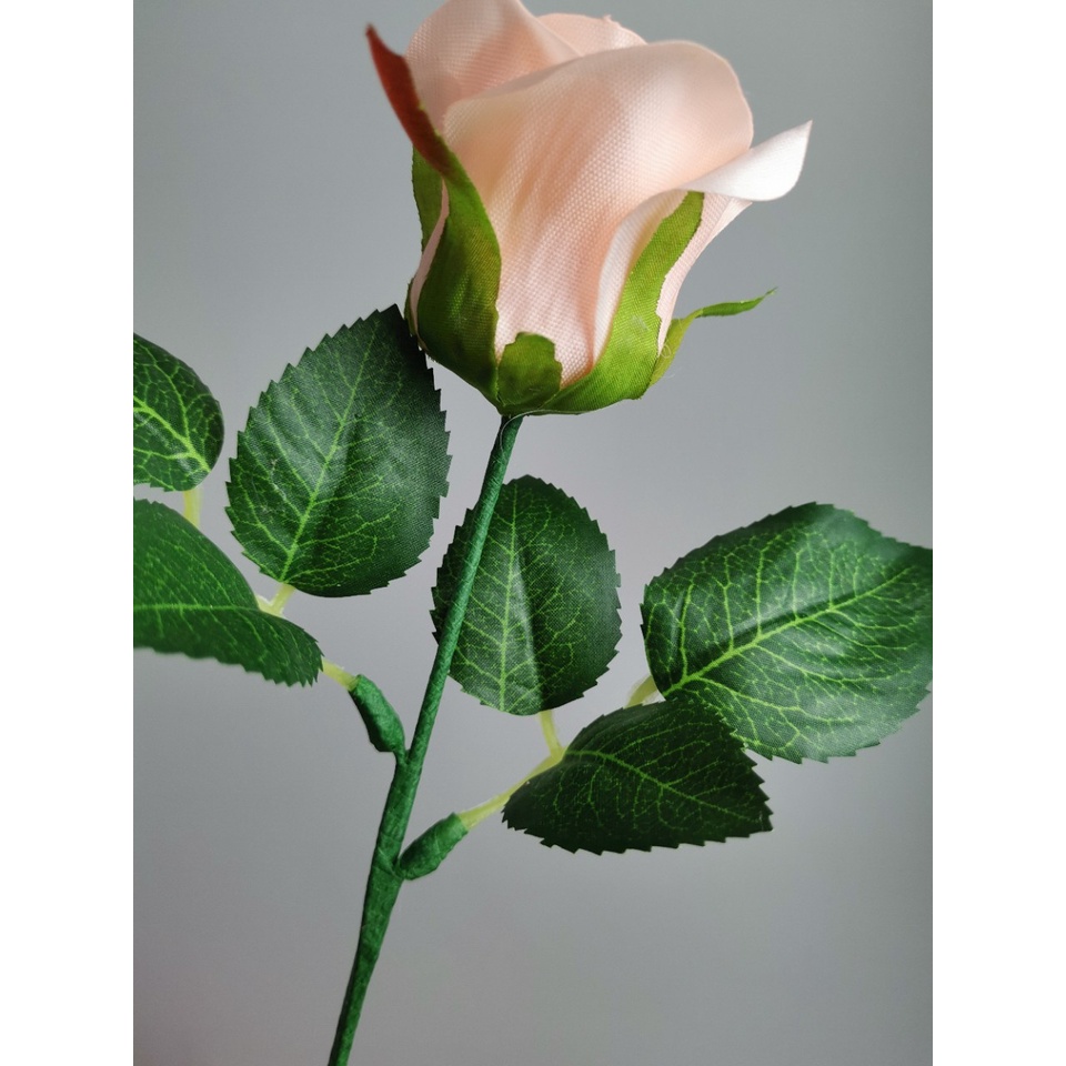 Băng dính sáp xanh cuốn cành làm hoa