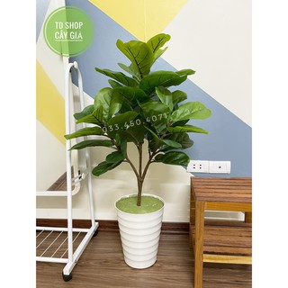 Cây giả - Cây bàng singapore giả decor cao 1M có 3 nhánh