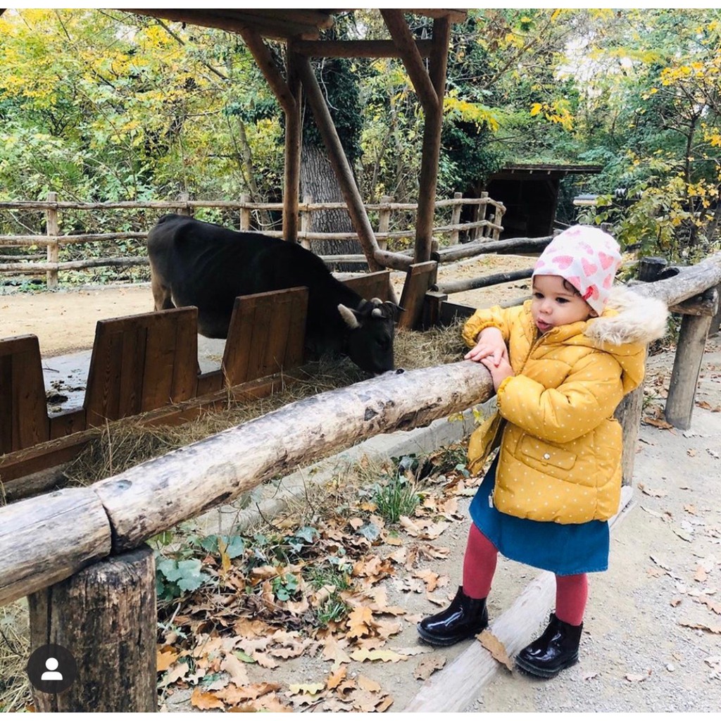 Áo phao ZARA màu vàng chấm bi