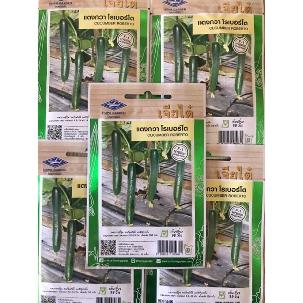 Hạt giống dưa leo Nhật hạt lép đặc ruột, giòn ngọt gói 60 hạt