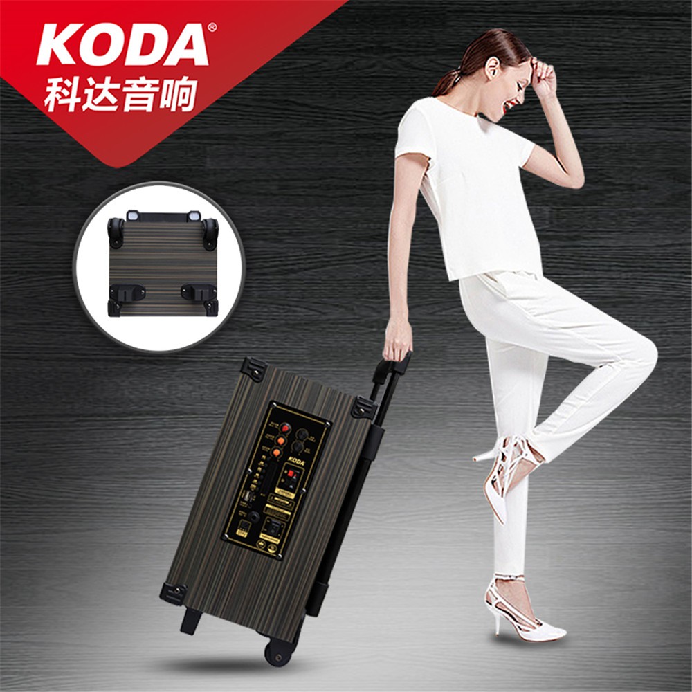 LOA KÉO KARAOKE KODA KD-1502