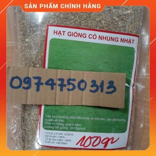 Hạt giống cỏ nhung nhật gói 100gr VNUA - UY TÍN SỐ 1