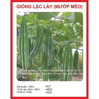 GÓI 10 Hạt giống Lặc Lày - Mướp nhật - Mướp mèo siêu quả