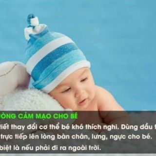 Tinh dầu tràm Thiên An tại Huế