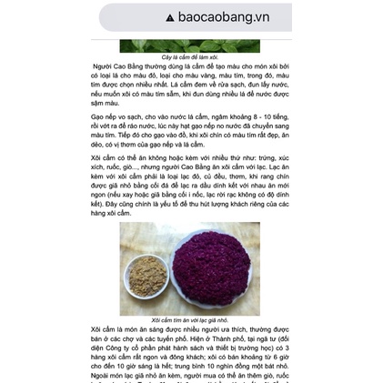 muối lạc đặc sản cao bằng 200g (thơm ngon, bùi ngọt )lạc đỏ+muối tinh | BigBuy360 - bigbuy360.vn