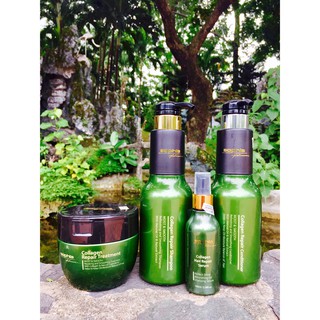 Bộ dầu gội, dầu xả, hấp dầu, tinh dầu chăm sóc tóc hư tổn, khô xơ Collagen Sophia 500ml
