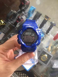 Đồng hồ Pasnew