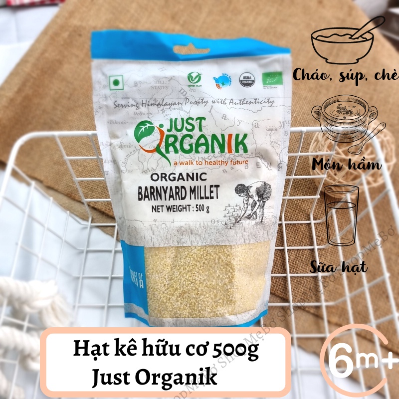 [Just Organik] Hạt hữu cơ ăn dặm cho bé gói nguyên 500g (đậu gà, diêm mạch, kê, lăng đỏ, ý dĩ…)