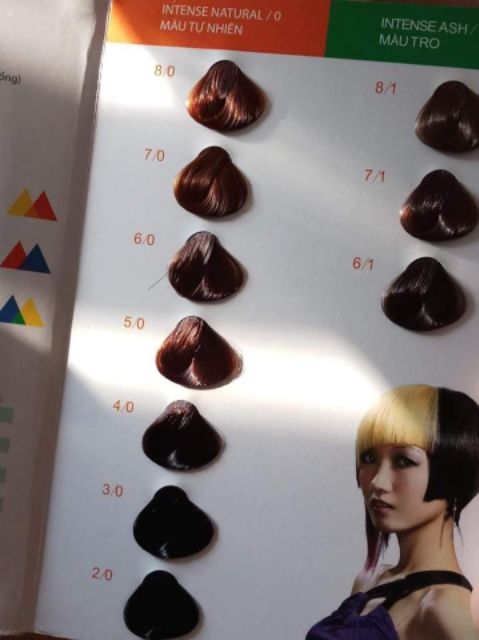 Thuốc nhuộm tóc EverFlor kèm oxi trợ nhuộm và găng tay | BigBuy360 - bigbuy360.vn