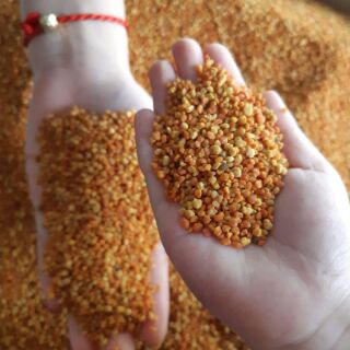 Phấn hoa cỏ kim ( 0.5 kg ) Phấn cỏ Sơn La