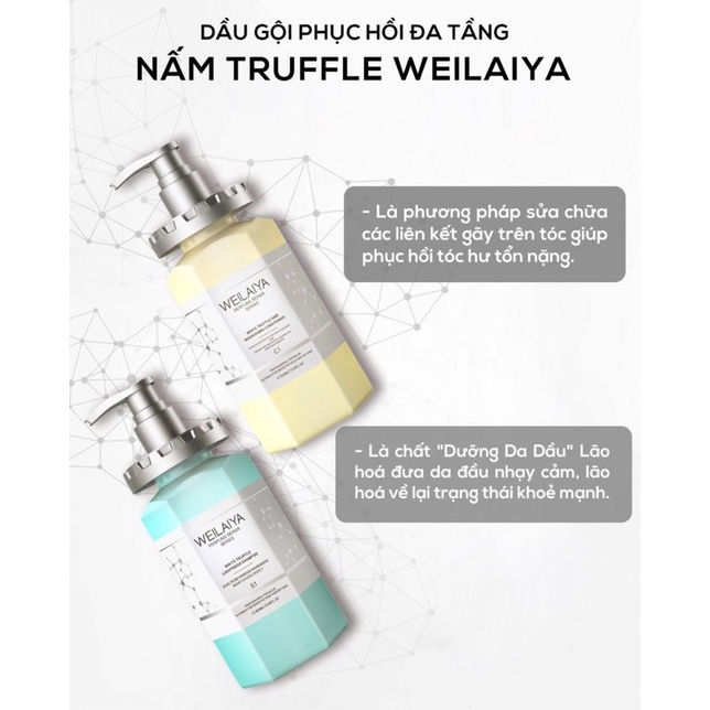 Bộ Dầu Gội Xả và Ủ Tóc Weilaiya Phục Hồi Nấm Đa Tầng Nấm Truffle Trứng Cá Tầm