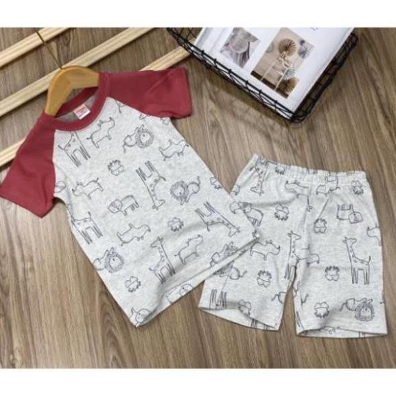 Bộ ngắn tay bé trai thun borip xuất khẩu size đại (25 đến 40kg) - Bộ quần áo trẻ em - My Store - My Store