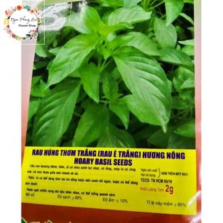 Hạt giống rau húng thơm rau é trắng - gói 2 gram