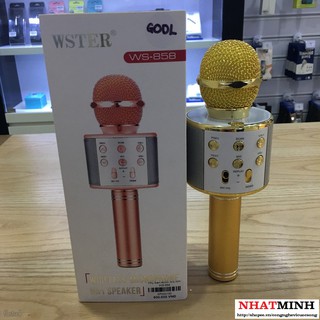 Micro Karaoke WS-858