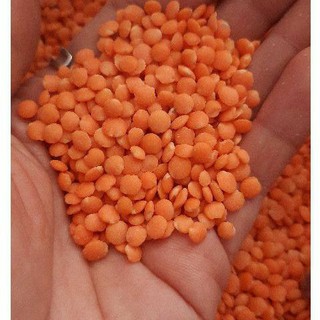 Đậu lăng đỏ Canada nhập khẩu 1kg