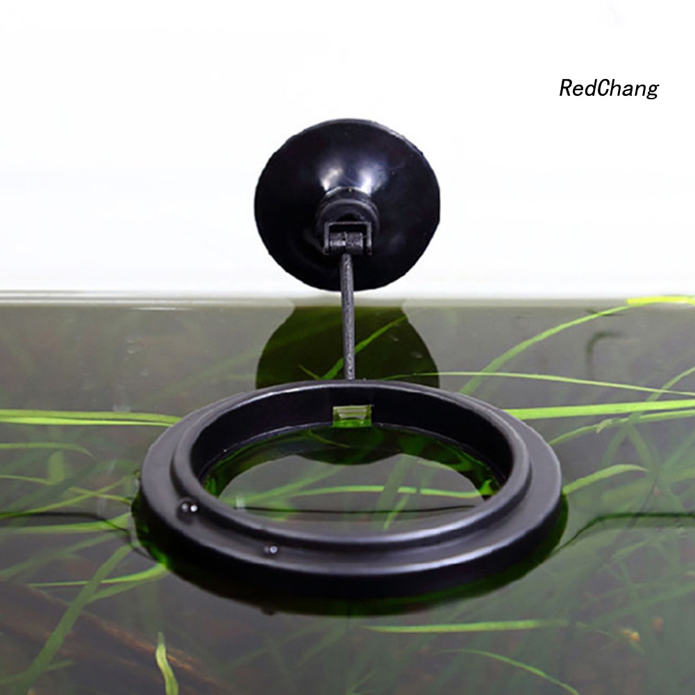 Fish Tank Floating Food Feeder Buoyancy Ring Suction Cup Pool Feeding Tool