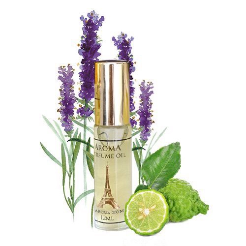 Nước hoa nam Pháp Aroma Giò dạng lăn mini 10ml - PHP
