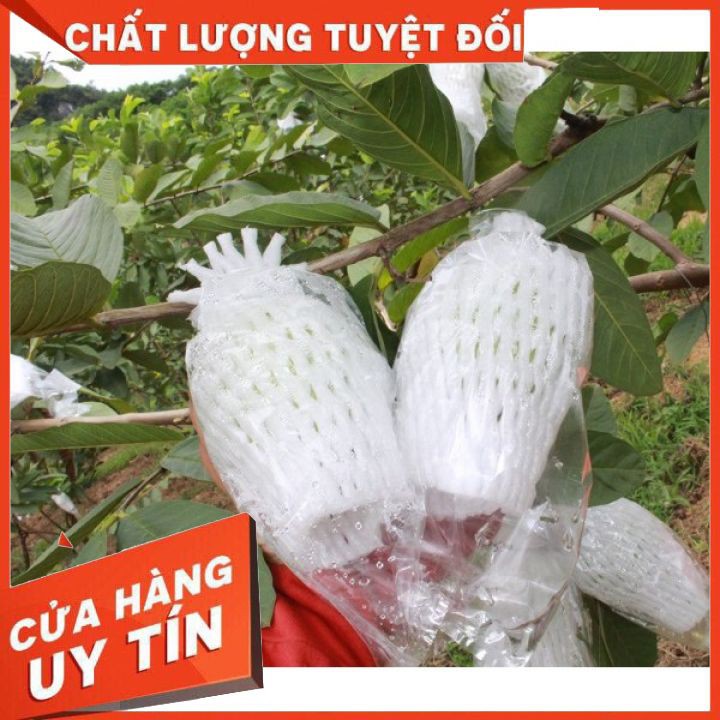 2kg Xốp bọc ổi sẵn⚡CH͢Ố͢N͢G͢ ͢R͢U͢Ồ͢I͢ ͢V͢À͢N͢G͢⚡Xốp lưới bao trái cây, tránh côn trùng gây hại, giá rẻ nhất