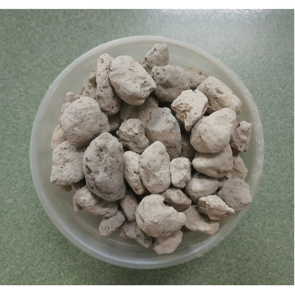 Vật liệu lọc_Nham Thạch Indo (đá lông vũ) size 2-4 cm 500gr