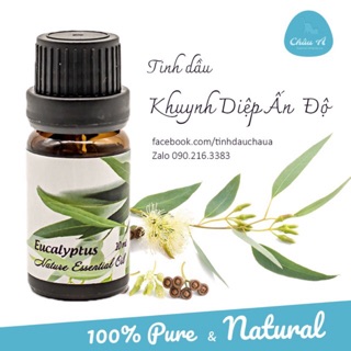 Tinh dầu khuynh diệp Ấn Độ- Eucalyptus - 10ml