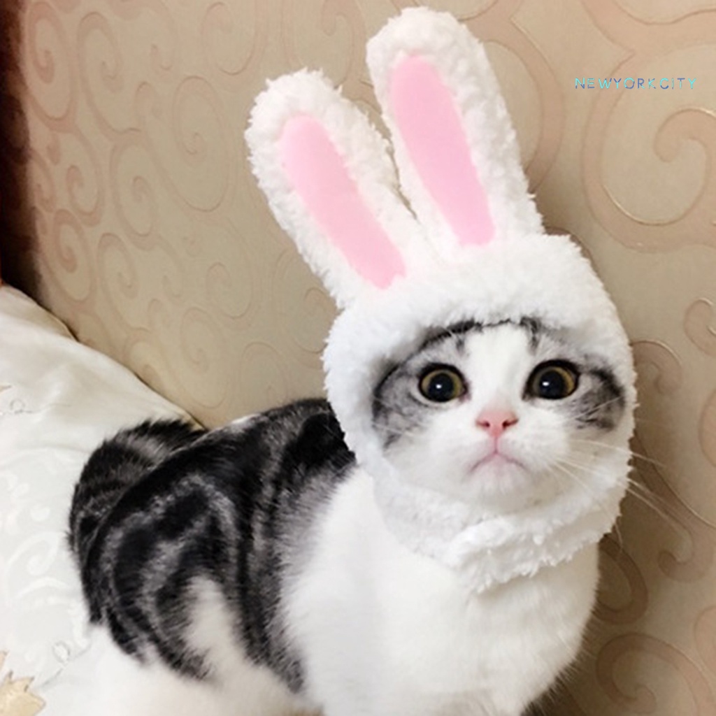 Nón Đội Đầu Co Giãn Màu Trơn Dành Cho Thú Cưng Sự Bảo Vệ