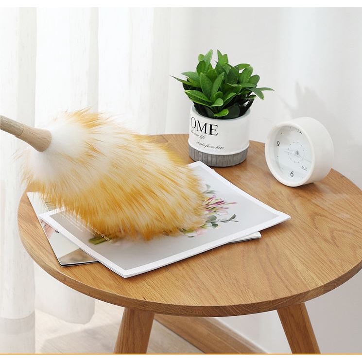 Chổi Phất Trần Lông Chuột , Lau Bàn Thờ , Lau Gế Ô Tô