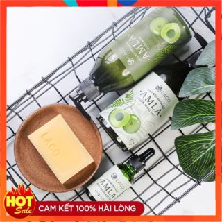 Dầu gội ngăn rụng tóc Amla
