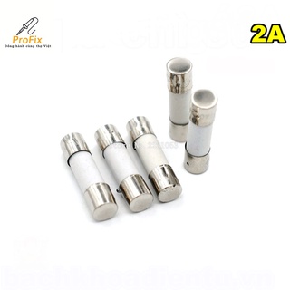 Cầu chì sứ 2A 5X20mm