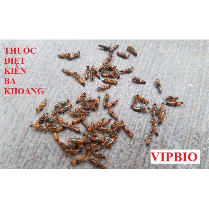 Thuốc diệt kiến -gián lây nhiễm loại  đậm đặc siêu sạch