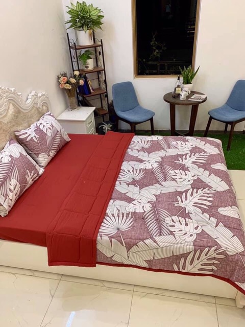 Trọn bộ 5 món set cotton đũi chăn hè trần bông 3 lớp