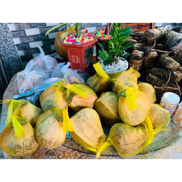 Combo 2 dừa sáp