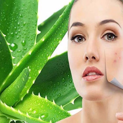 Kem giảm mụn NC Nga gel lô hội giảm mụn ẩn mụn đầu đen mụn trứng cá mụn cám dùng cho da dầu da hỗn hợp