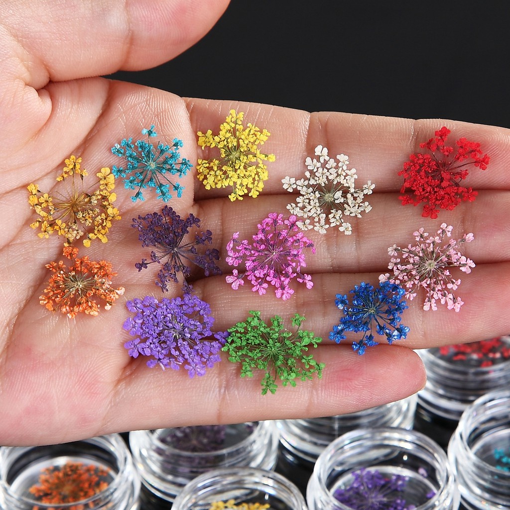 MONJA Bộ hoa khô 3D tự nhiên 12 màu sắc dành cho trang trí móng tay nghệ thuật