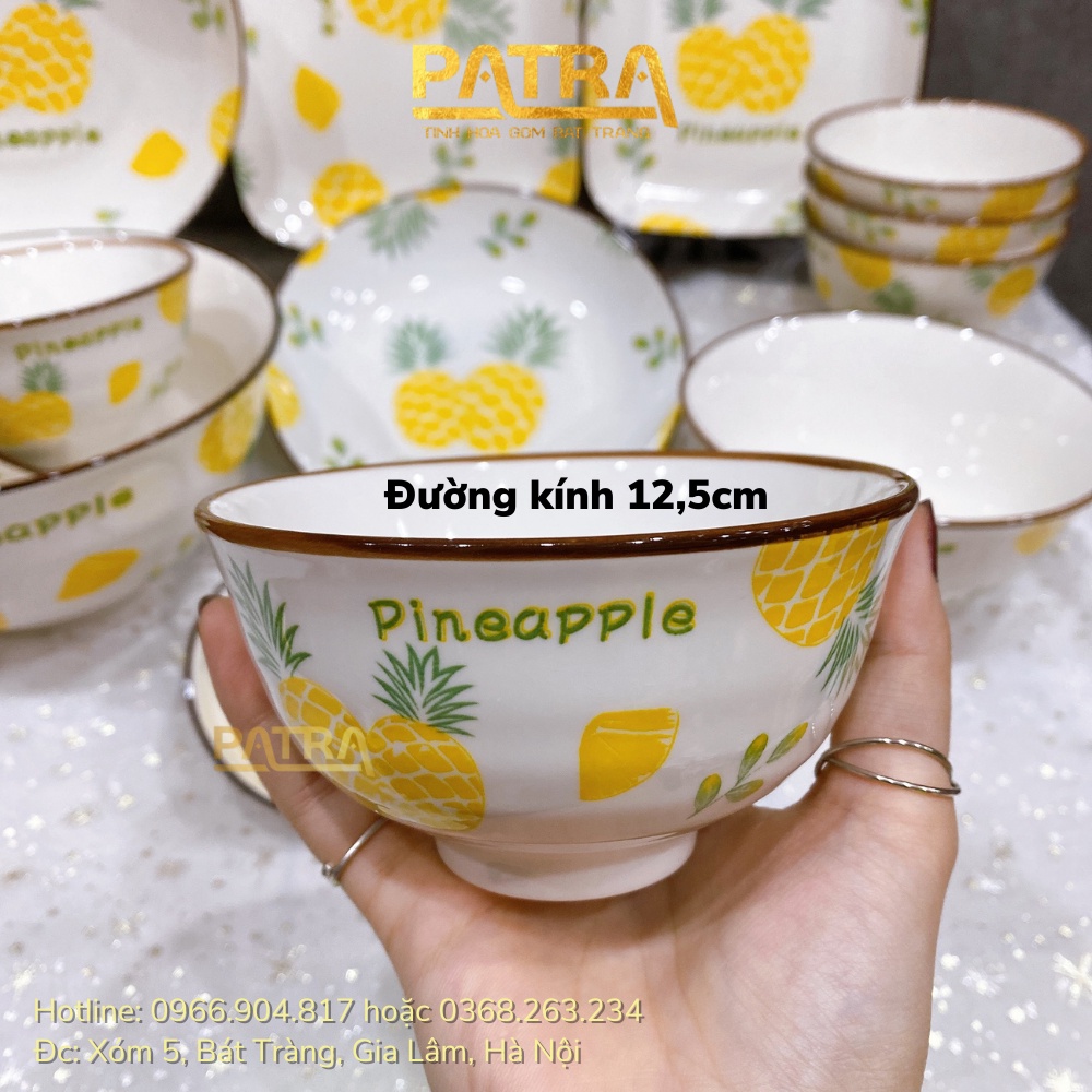 Bộ bát đĩa sứ cao cấp, bộ chén dĩa decor đẹp họa tiết dứa viền nâu siêu xinh