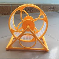 1 Vòng chạy cho hamster cầu vòng- whell chạy cho hamster- bánh chạy cho hamster màu sắc tươi tắng